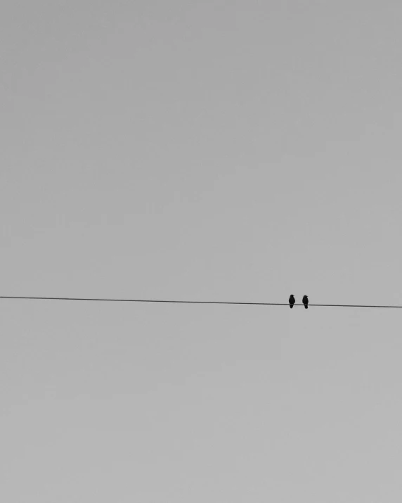 two birds sitting on wire with the sky in the background