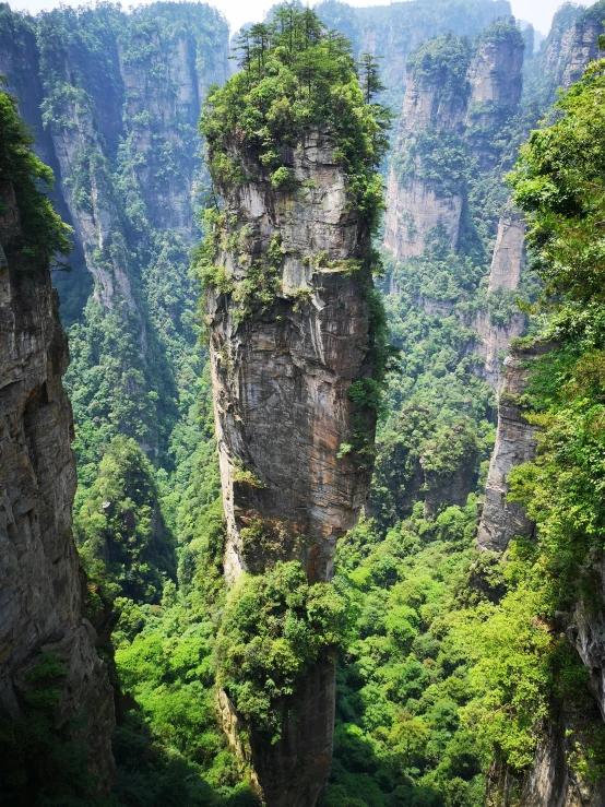 many rocks that look to be cut off and covered in vegetation