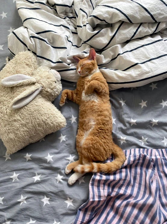 a brown and white cat laying on top of bed