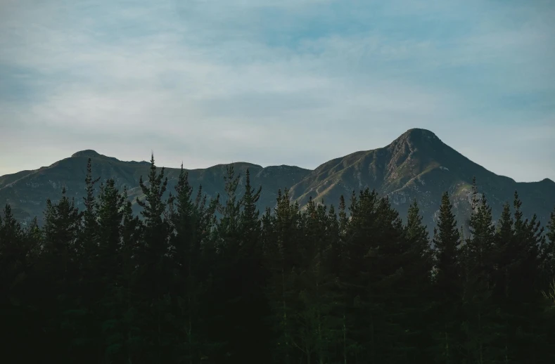 some very tall mountains with trees under them