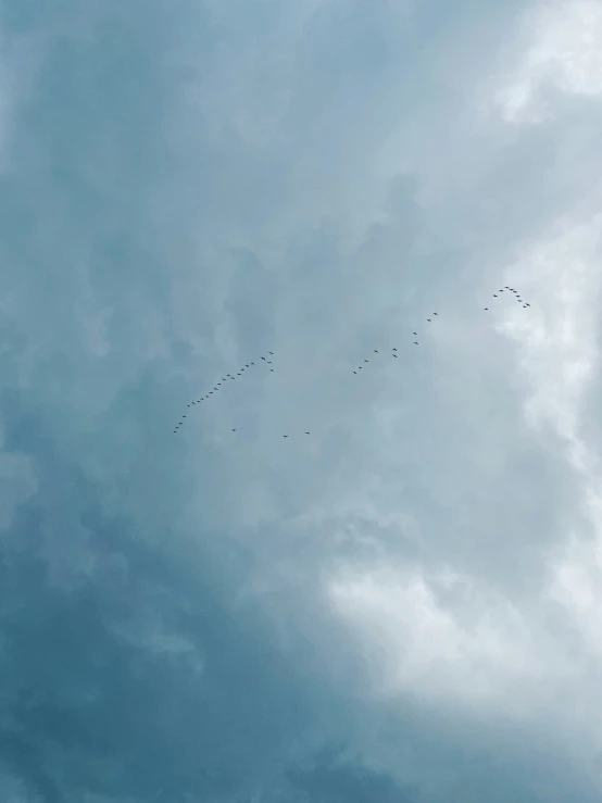 birds flying in a cloudy blue sky during a daytime