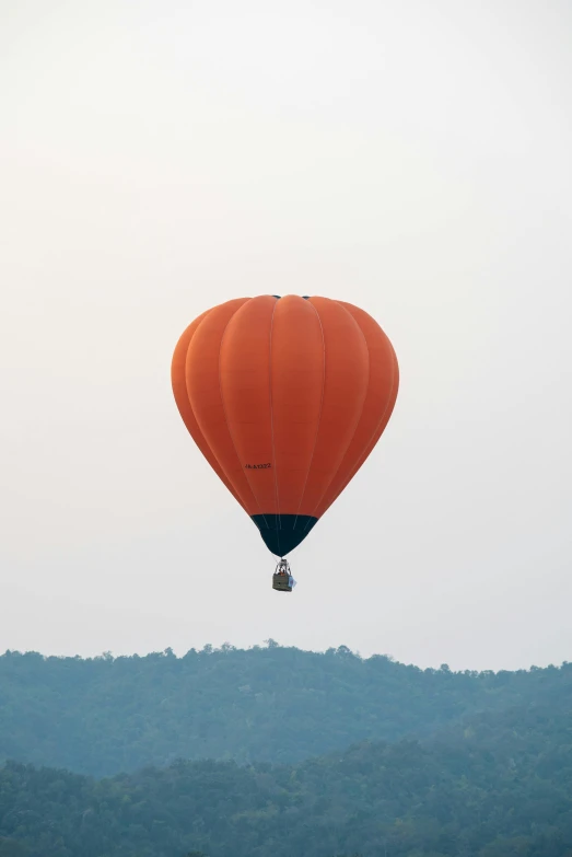 a  air balloon rises over trees with no clouds