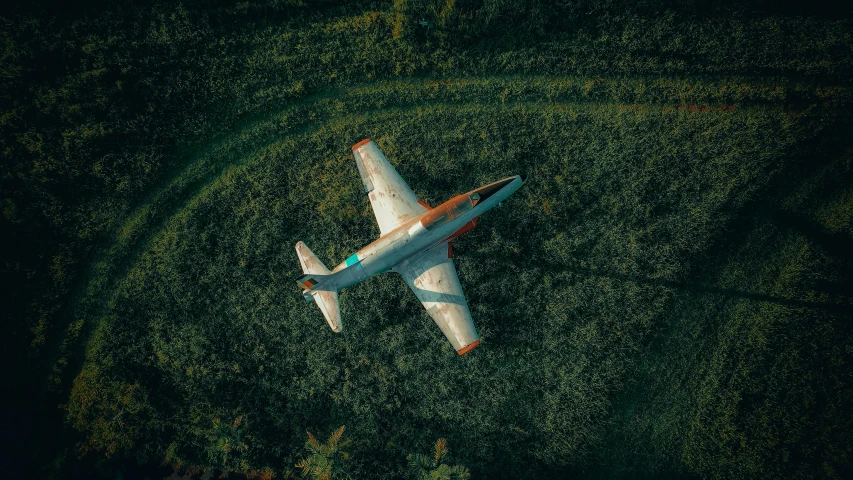 a plane flying over the trees in a dark sky