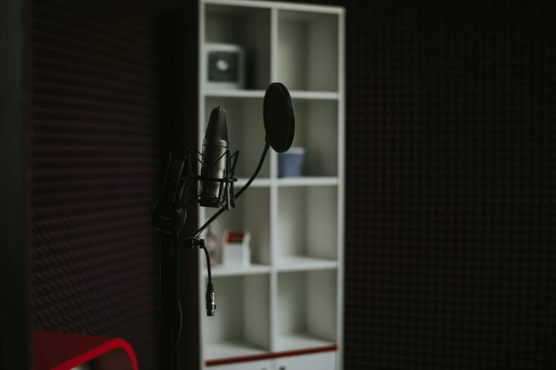 the front view of a mic in front of an empty bookcase