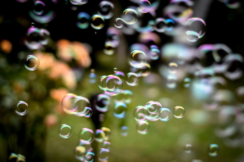 close up po of bubbles in a field