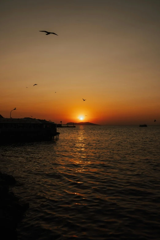 seagulls flying into the sunset over a calm body of water