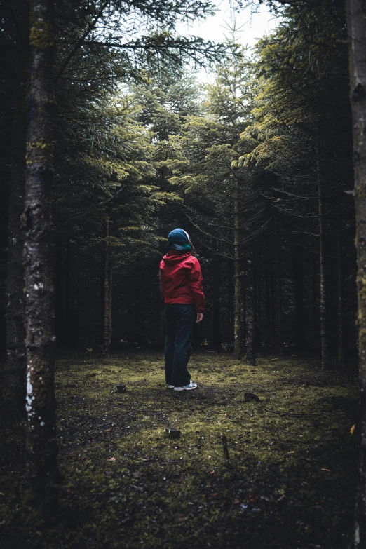  walking in the woods surrounded by trees