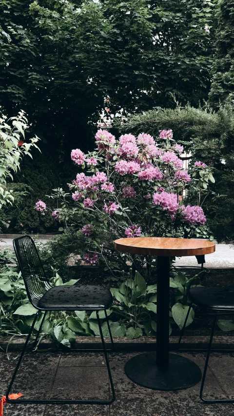 three chairs and an outdoor table in front of purple flowers