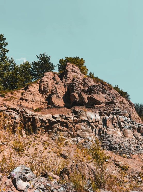 there is a small tree on top of a mountain