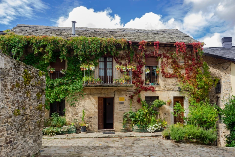 a stone walled house with lots of plants growing around it