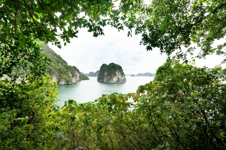 the view from an overlook point of an island surrounded by trees