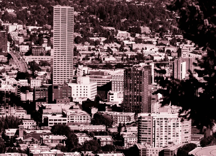 a black and white picture of a city with tall buildings