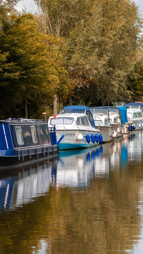 small boats in the water beside a forest