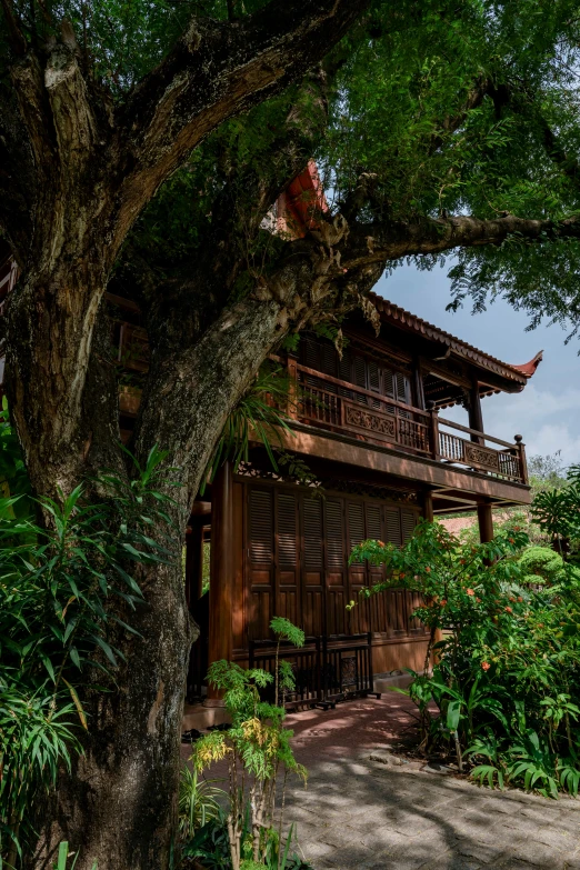 an exterior view of a house that is surrounded by trees