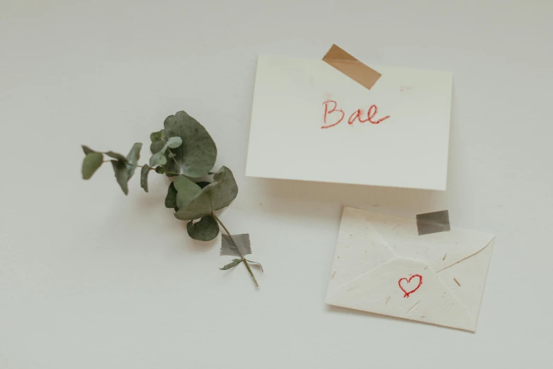 a white paper box with the word bae on it and a small plant with a note attached