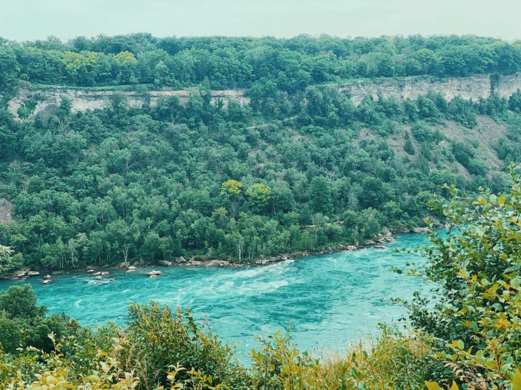 view of a river from above on a sunny day