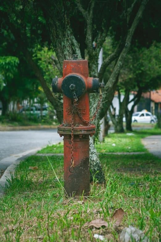 a fire hydrant that has been painted rusted