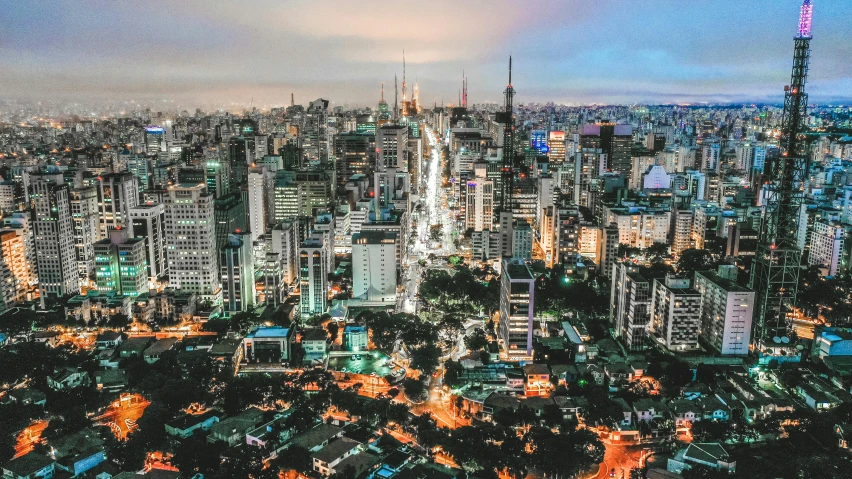 the city skyline in the evening from an observation point