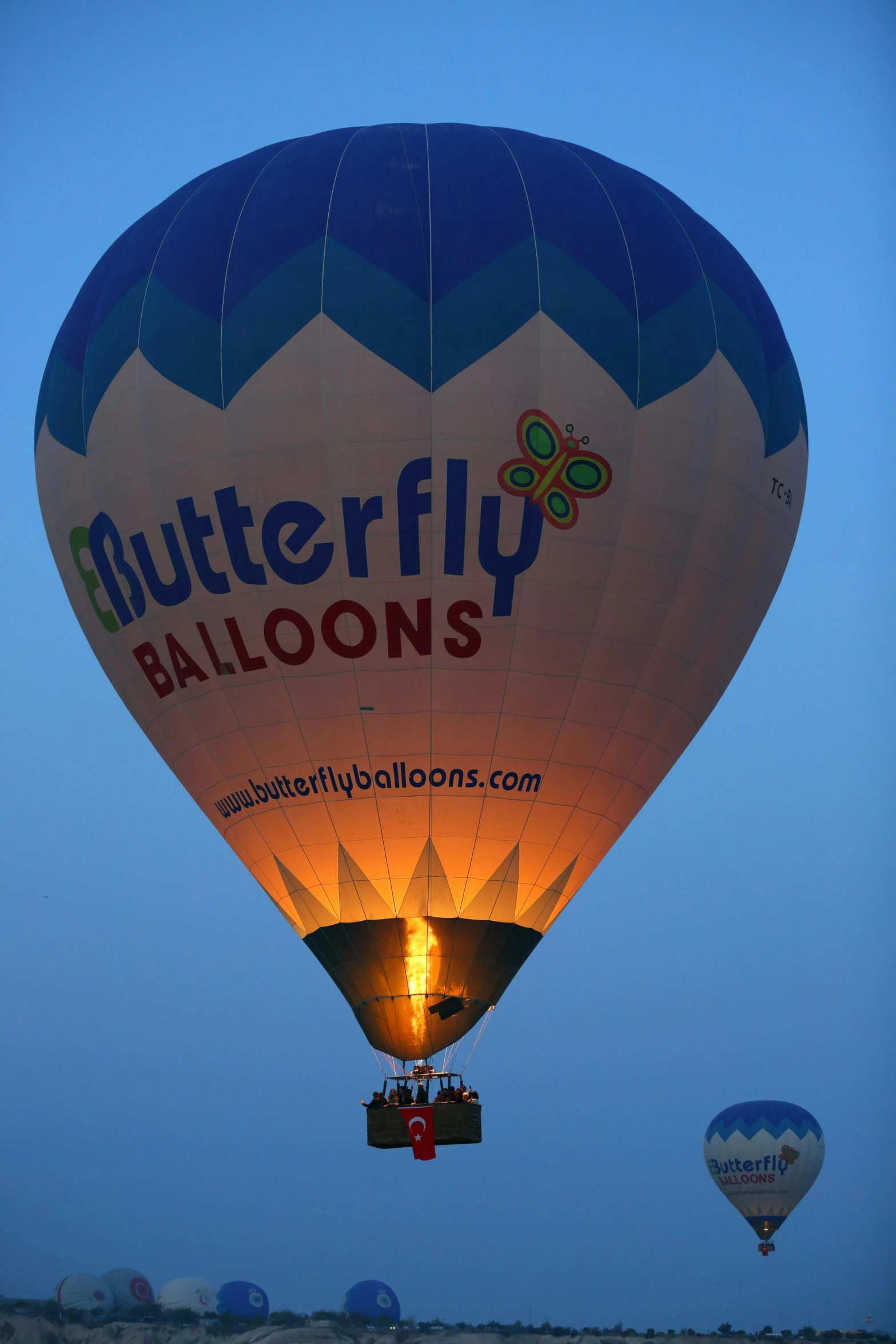 the large balloons are glowing at night time