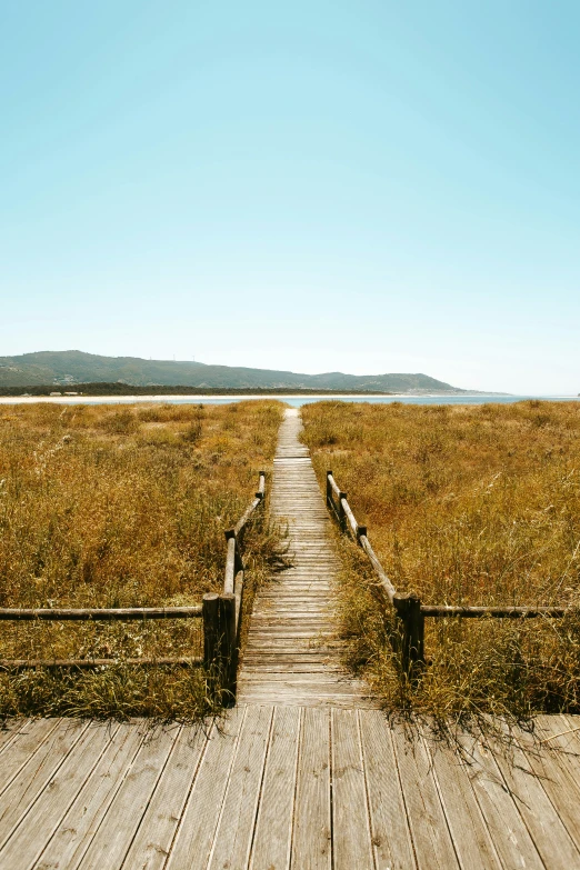 wooden walkway with a view of grass field