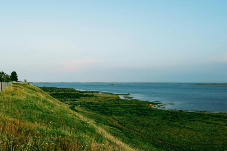 there are a few trees and a fence on the shore of the beach