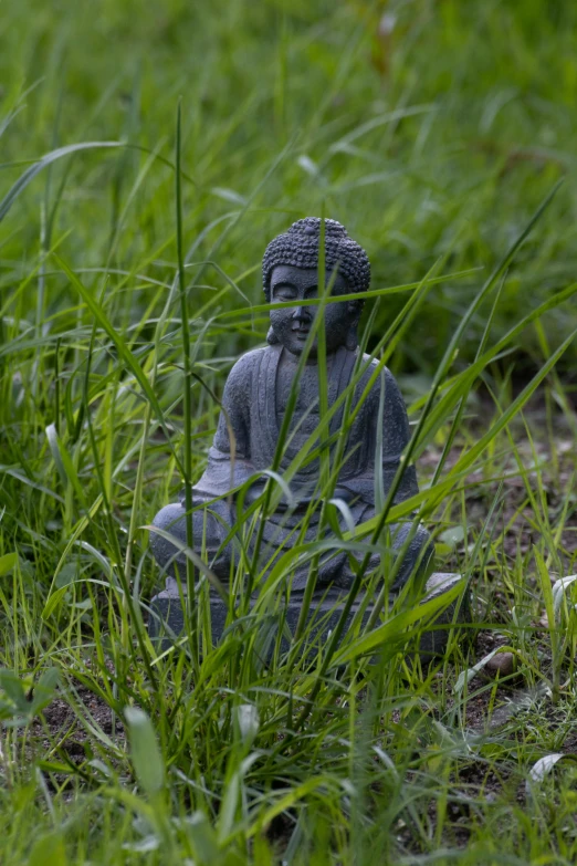 a statue in a field of green grass