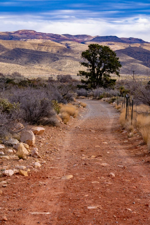 a dirt road that leads to a hill covered in brush