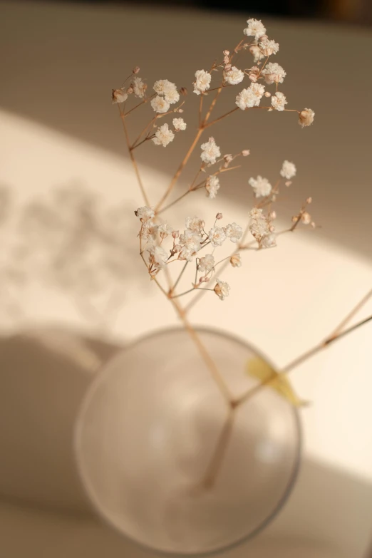 white flowers in a clear glass vase on a table