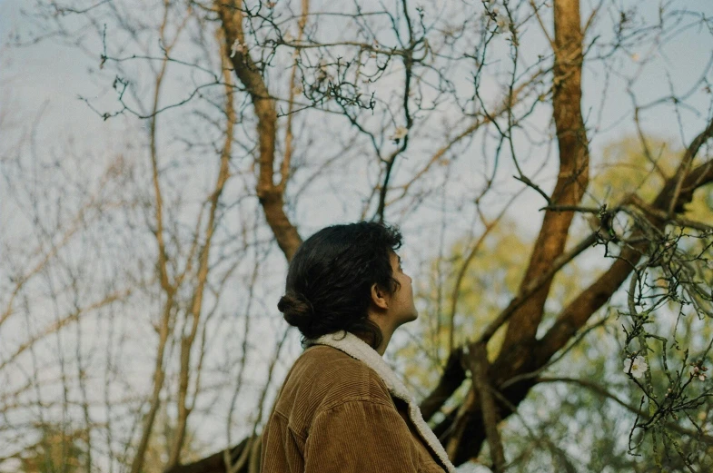 a person standing in front of a forest