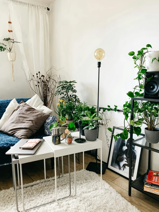 a white living room with a blue couch, table and potted plants on the table