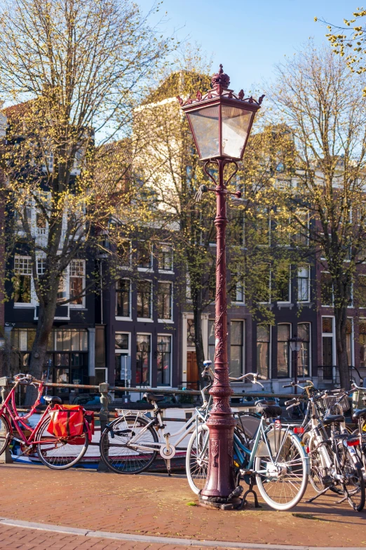 bicycles are parked in front of a lamp post with a street lamp