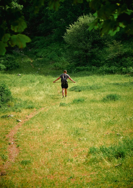 there is a  standing in the middle of a field