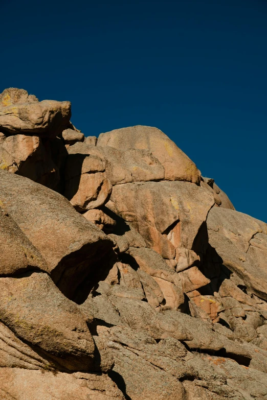 the rocky cliff has a bird on it