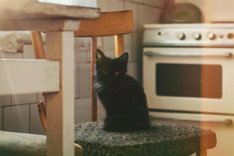 a black cat sitting on top of a chair next to a stove