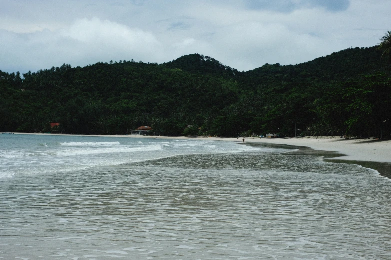 a body of water near trees on a beach