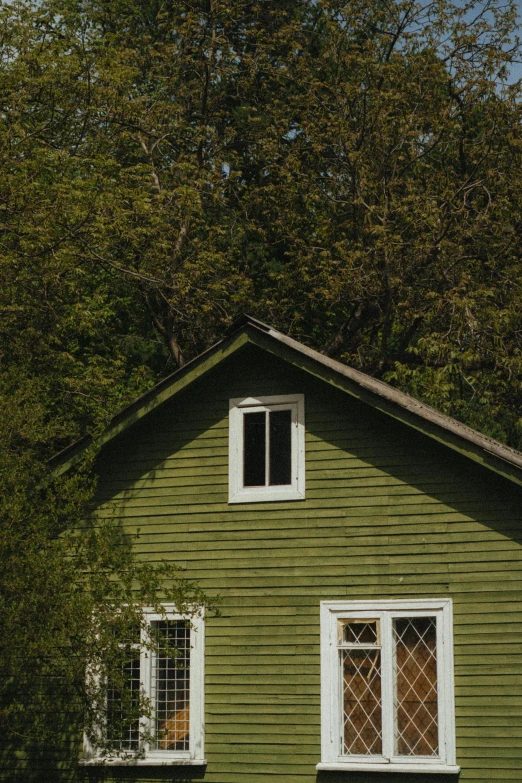 a green house with an evergreen tree in the background