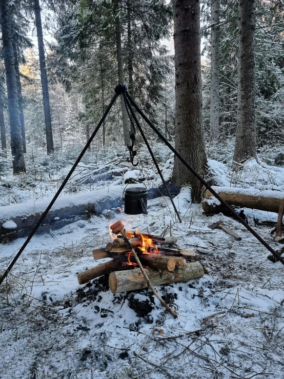 an open fire sitting in the middle of a forest