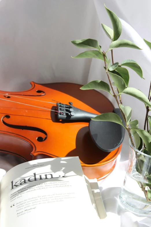 a violin sitting on top of a book on top of a table