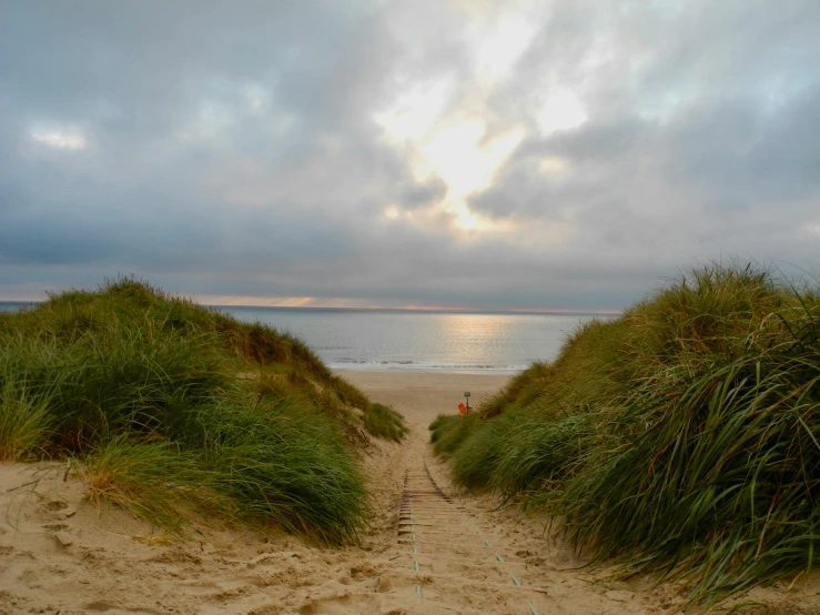 an image of a sandy path leading into the water