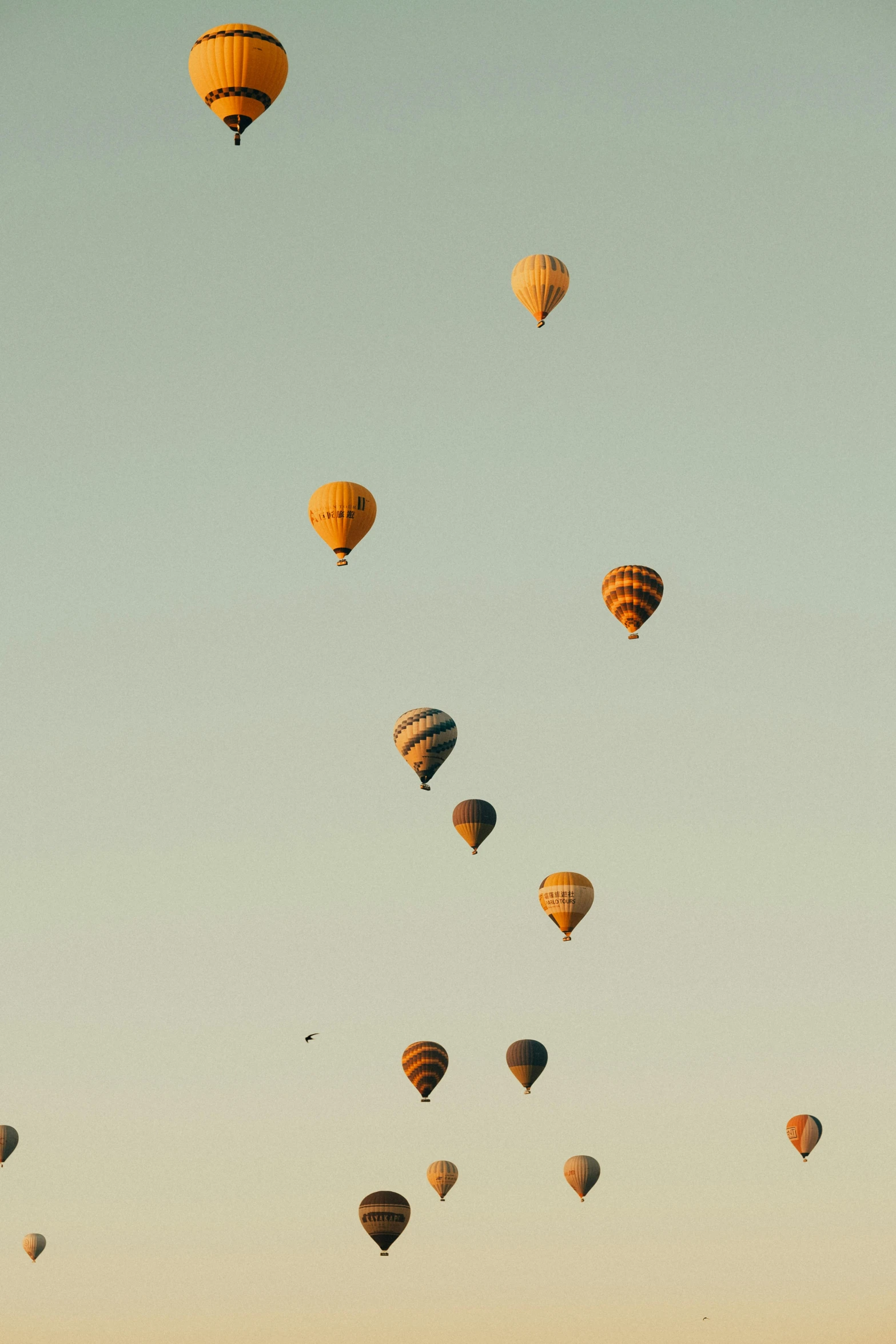 the sky has many balloons in it