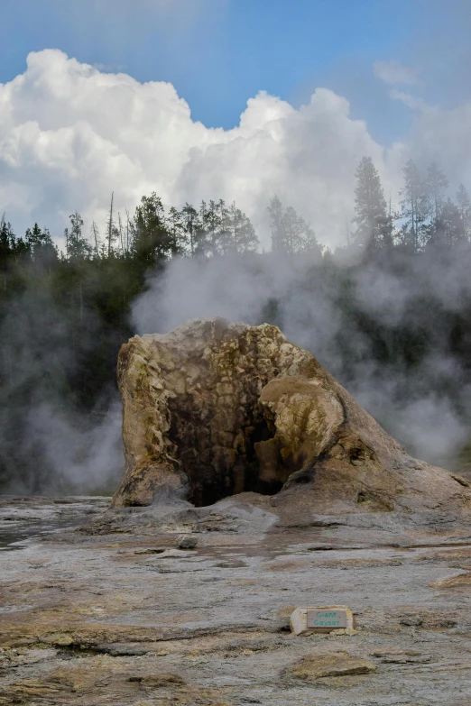 a large rock with a  springs coming out of it