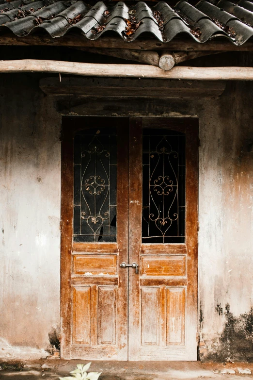 a cat on the steps by two old wood doors