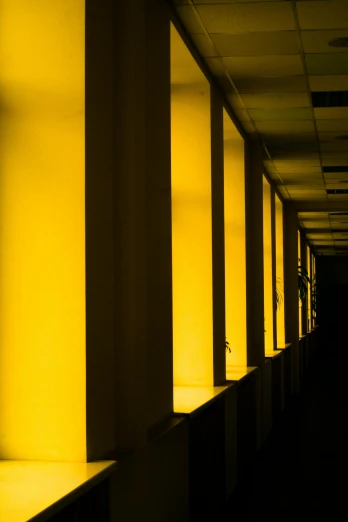 shadows and light illuminate columns in a building
