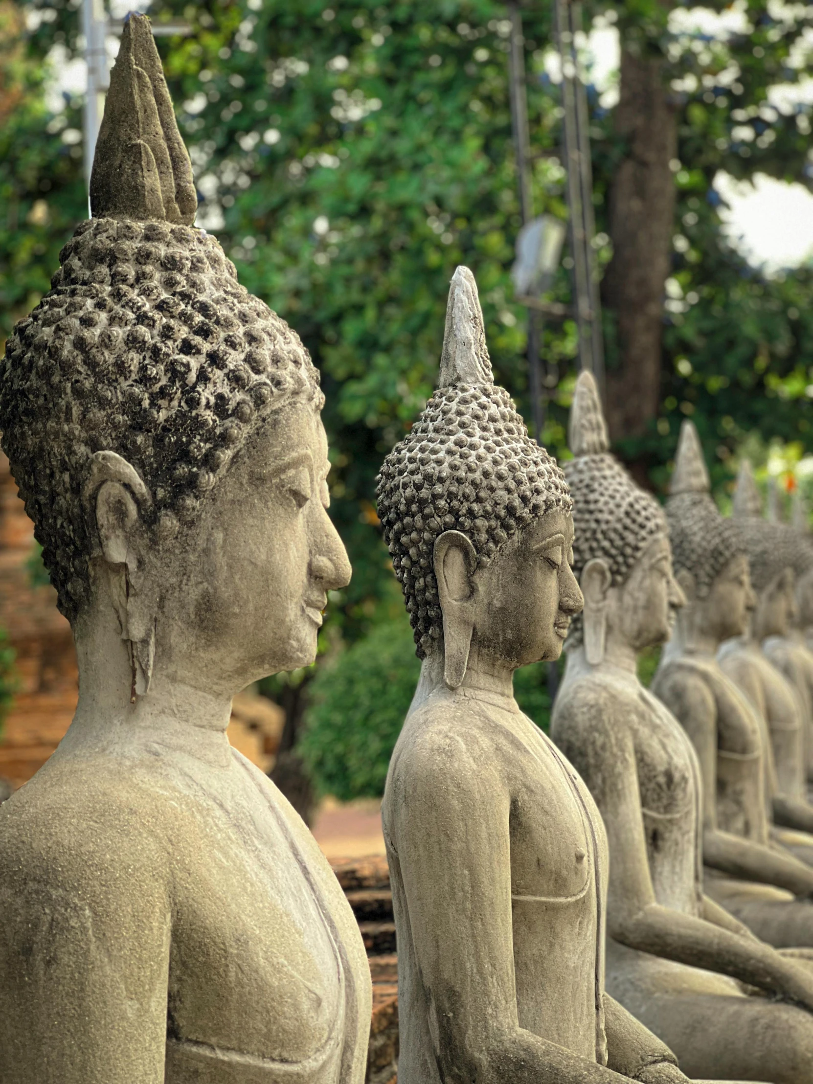 buddha statues sitting in rows outside in the grass