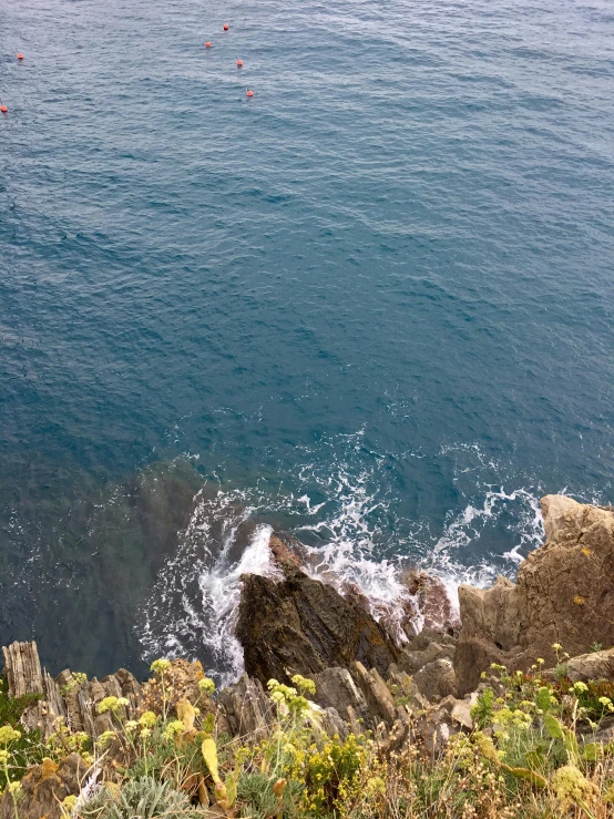 a body of water with rocky shore and plants on both sides