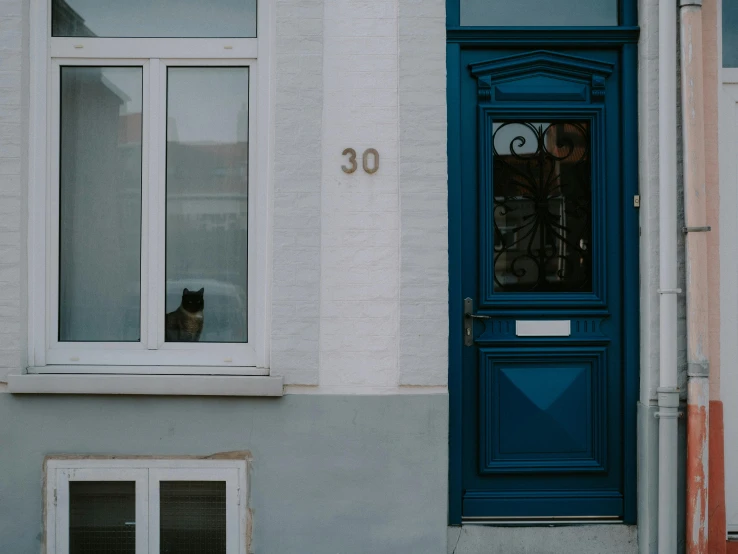 a cat sitting at the door of an apartment