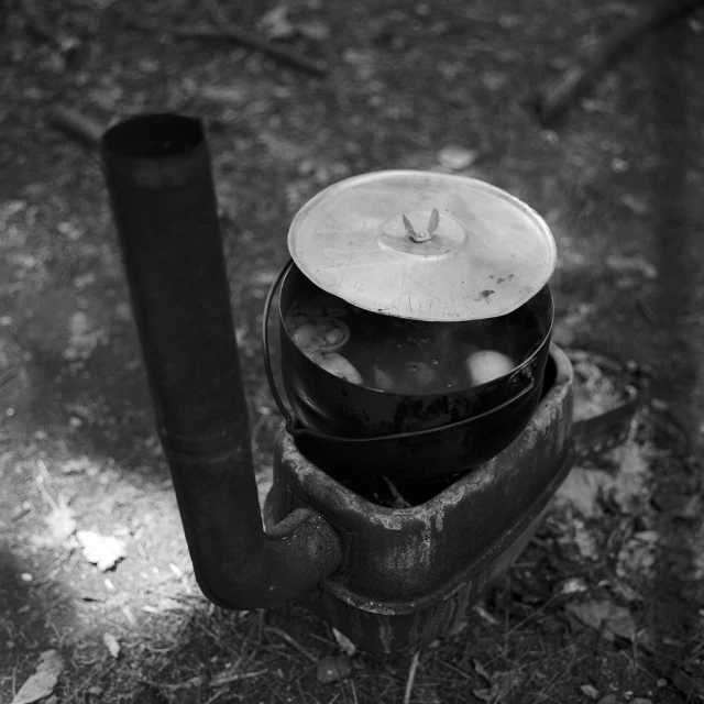 a black and white pograph of two pots of liquid on a fire hydrant