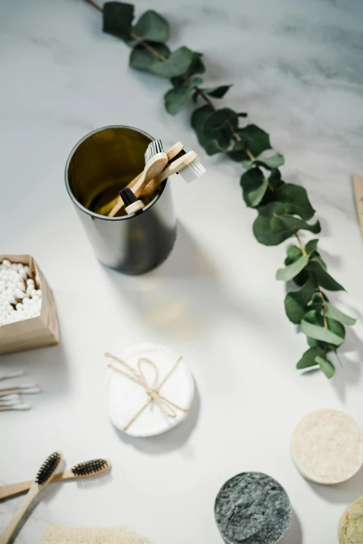 a toothbrush and some shavings, a green plant, and two other items