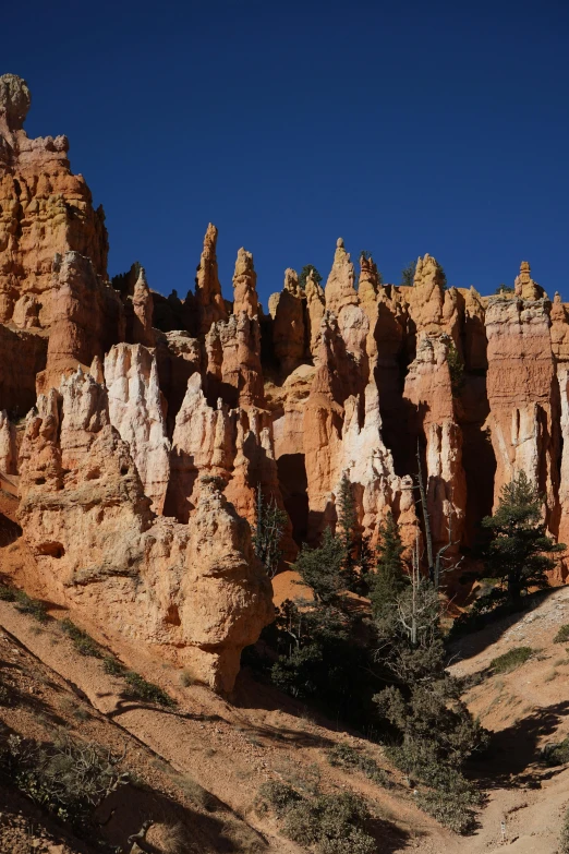 the landscape is covered in very large hoodoos