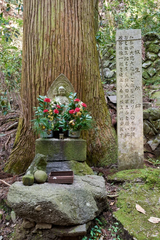 a statue stands in front of the large tree in the park